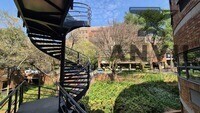 Sunnyside Office Park, Parktown - Building C  property image 14