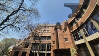 Sunnyside Office Park, Parktown - Building C First Floor Open Plan property image 2