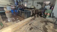 1 Boswell St, North End, Gqeberha - Unit 1b property image 2