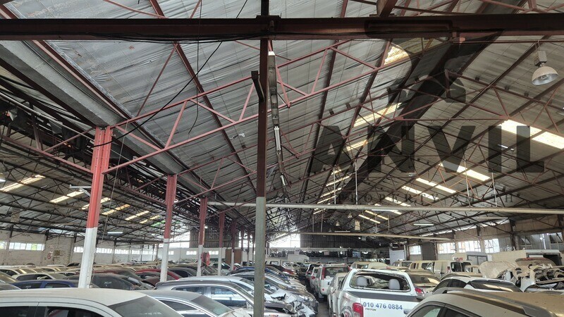 10 Rana Road - Entire Unit property image 3