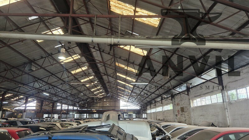 10 Rana Road - Entire Unit property image 8