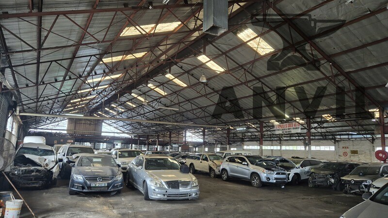 10 Rana Road - Entire Unit property image 4