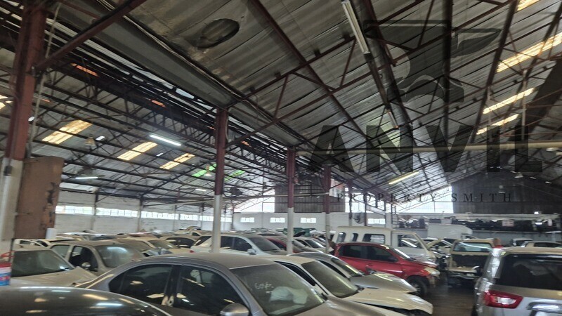 10 Rana Road - Entire Unit property image 5