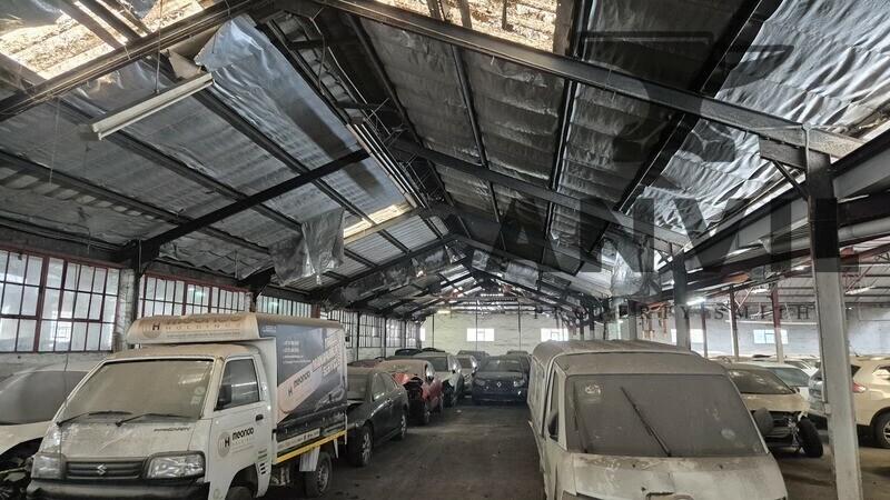 10 Rana Road - Entire Unit property image 16