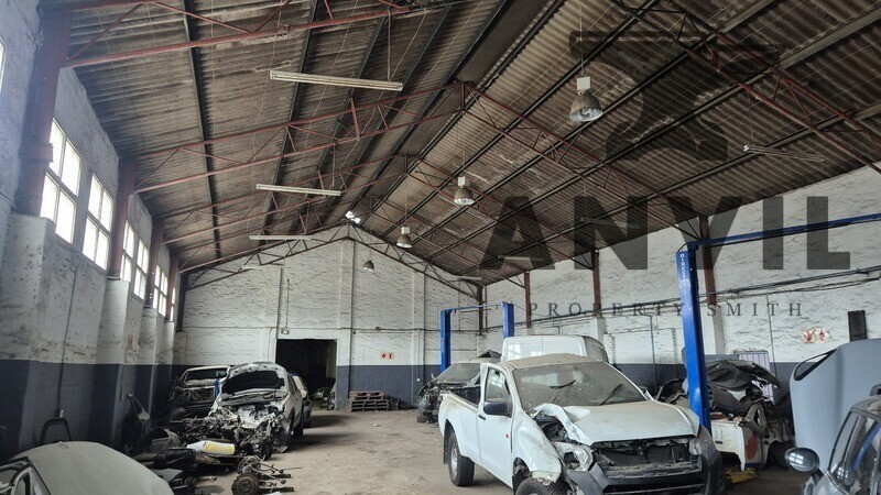 10 Rana Road - Entire Unit property image 12