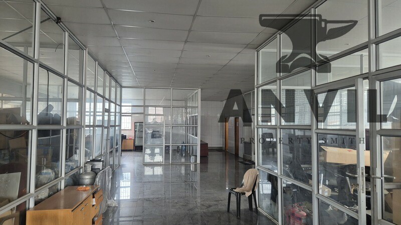 10 Rana Road - Entire Unit property image 19