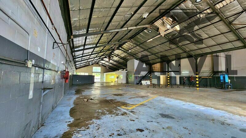 3 Devon Valley Road, Stellenbosch - 3 Devon Valley Road, Stellenbosch property image 11