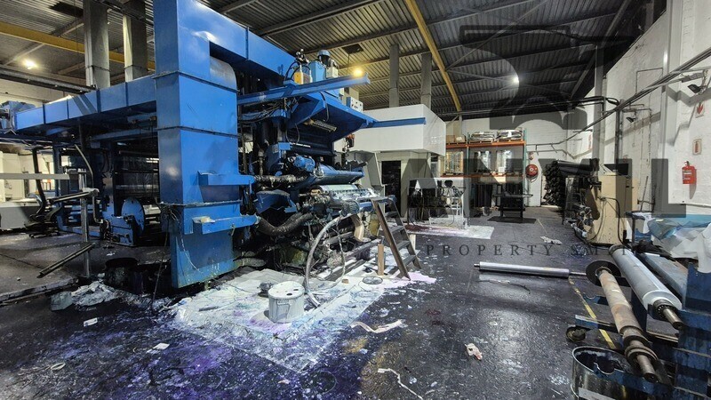 9 Palmfield Road - Entire Property  property image 5