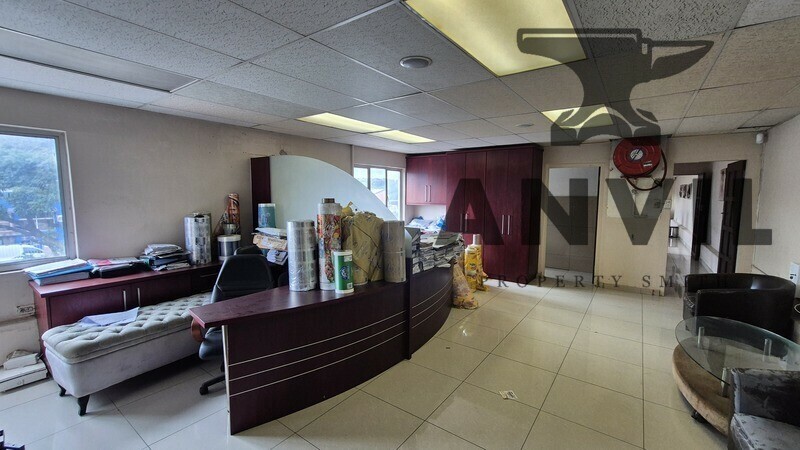 9 Palmfield Road - Entire Property property image 10