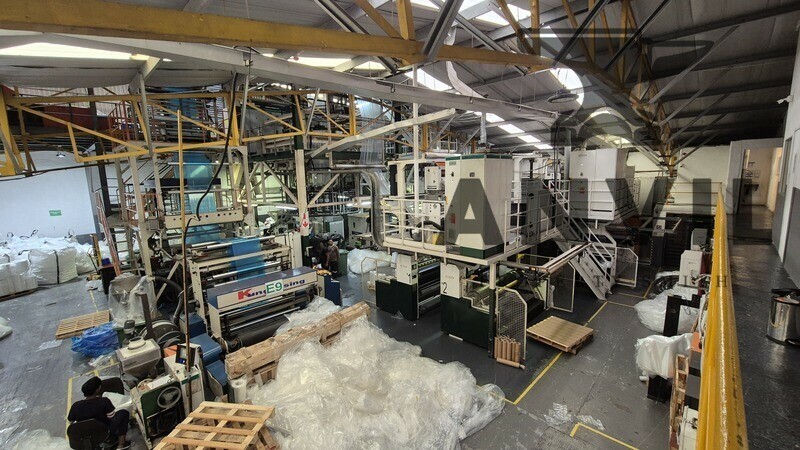 4 Maplefield Place - Entire Property property image 4