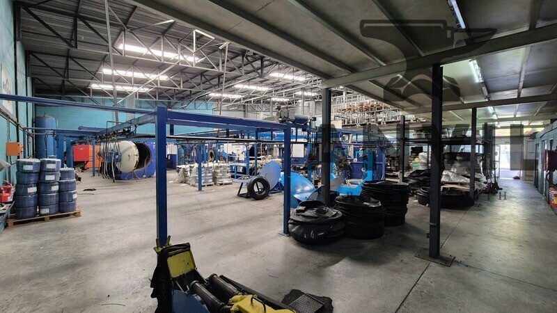 55 Killarney avenue - Whole Building property image 19