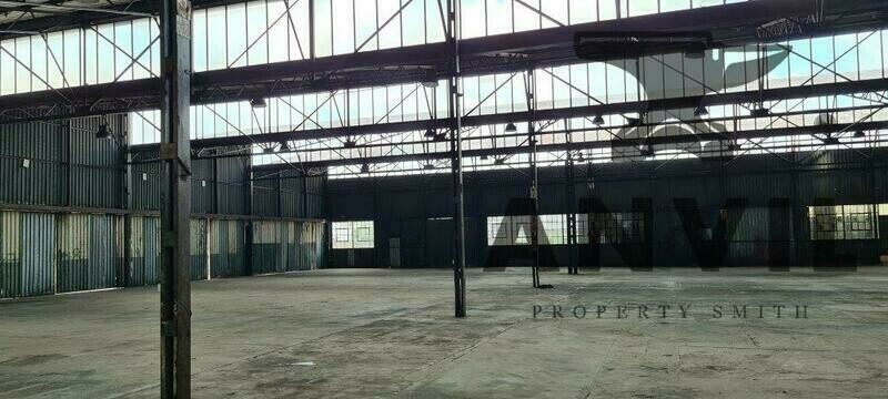 46 Steel Road - Whole Property property image 7