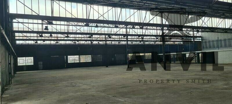 46 Steel Road - Whole Property property image 9