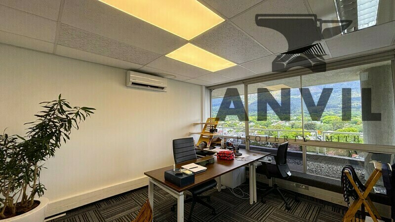 Sunclare Building - OF105503A Ex-Carrick Wealth property image 10