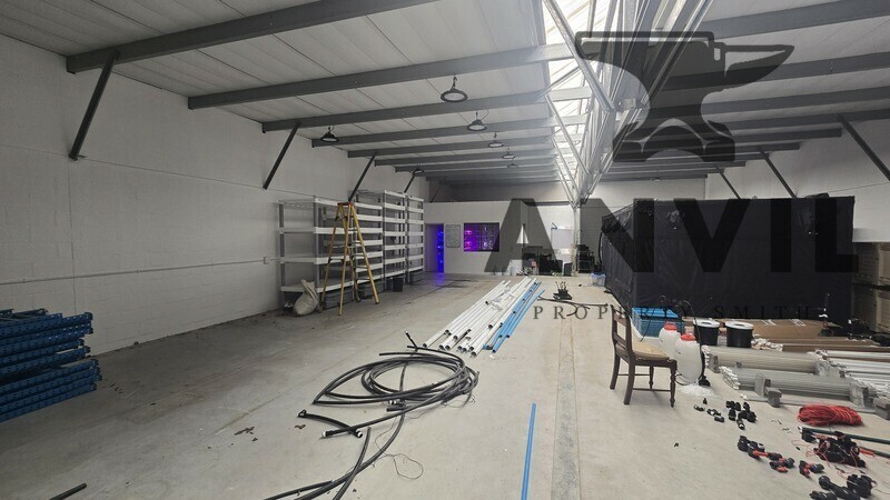 Baruch Park - Unit 9 property image 7