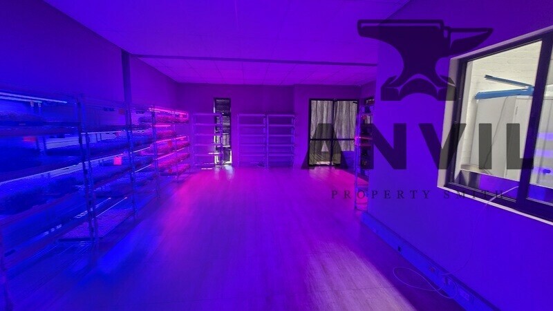 Baruch Park - Unit 9 property image 11