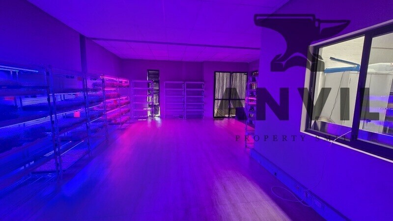 Baruch Park - Unit 9 property image 12