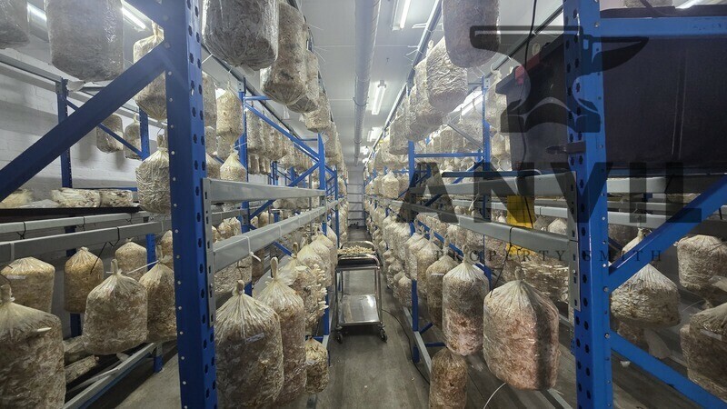 Baruch Park - Unit 9 property image 20