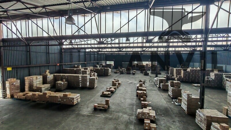 46 Steel Road - Whole Property property image 19