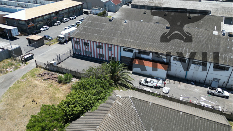 7 Loop St - Loop Street, Maitland property image 6