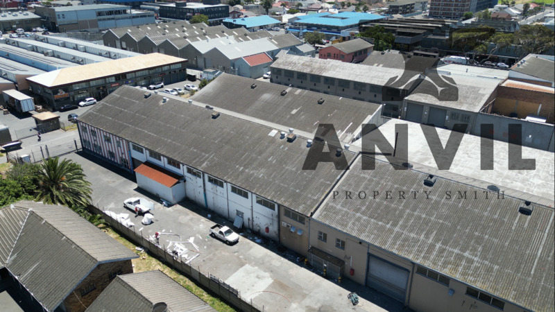 7 Loop St - Loop Street, Maitland property image 2