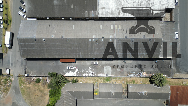 7 Loop St - Loop Street, Maitland property image 3