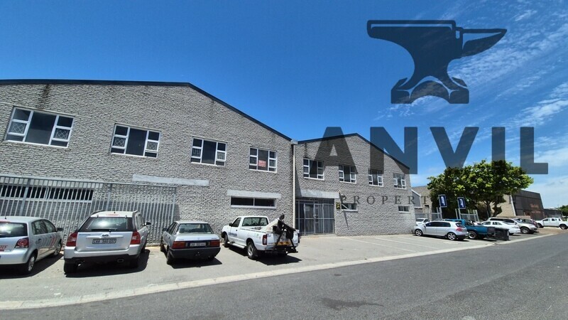 10 Lily Road - 220sqm property image 13
