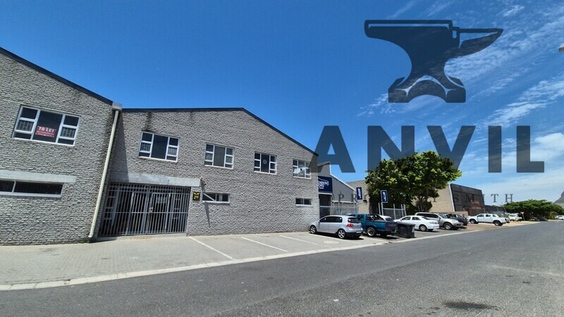 10 Lily Road - 220sqm property image 20