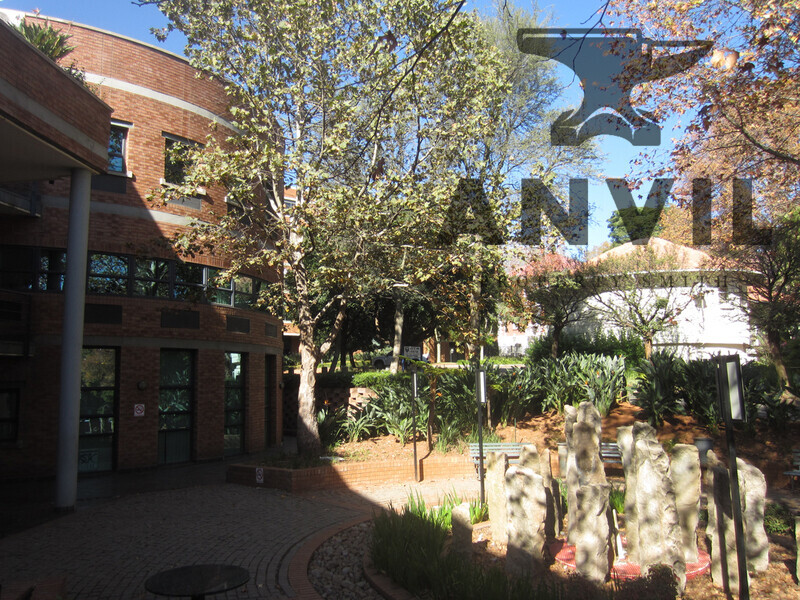 Sunnyside Office Park, Parktown - Sentinel House 4th floor property image 38