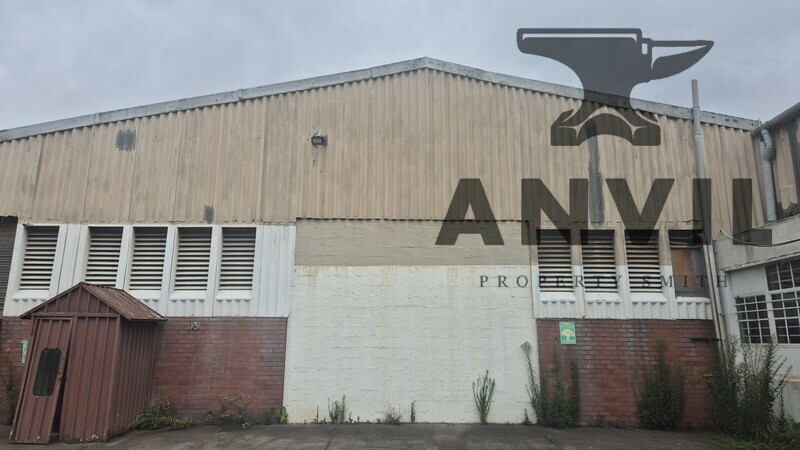 44 Balfour Road - Unit 1 property image 7