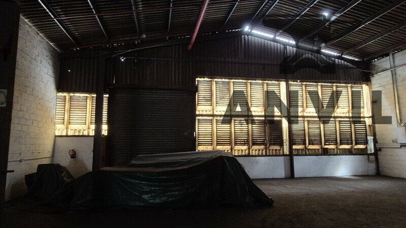 44 Balfour Road - Unit 1 property image 20