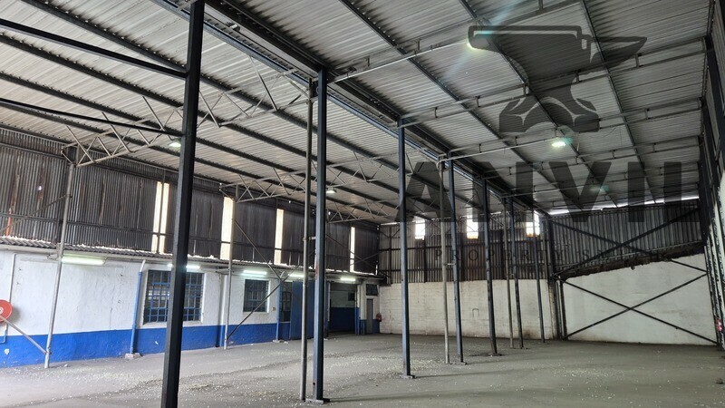 26 Balfour steet, Jacobs - 26 Balfour Road property image 3