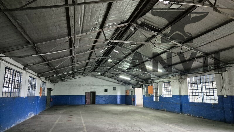 26 Balfour steet, Jacobs - 26 Balfour Road property image 7