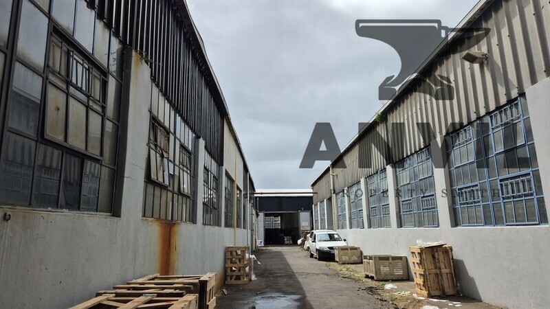 269 Chamberlain Road - Entire Unit property image 22