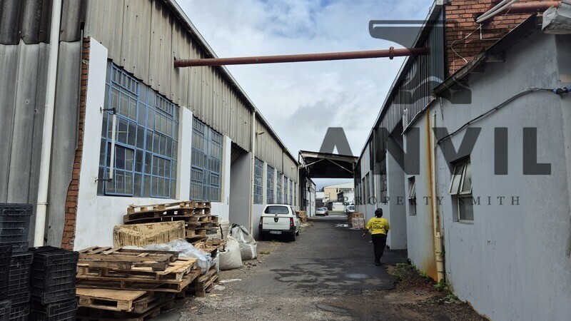 269 Chamberlain Road - Entire Unit property image 28