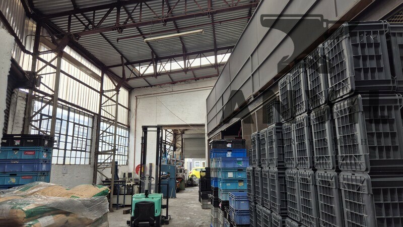 269 Chamberlain Road - Entire Unit property image 7