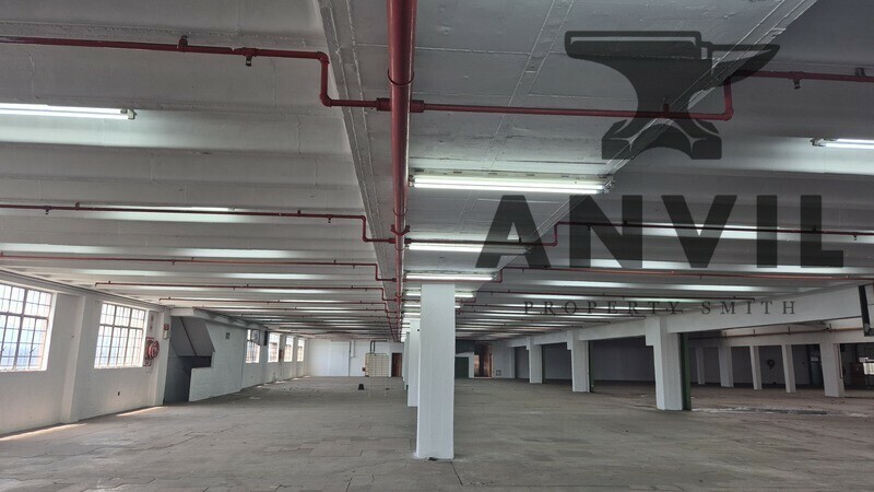 195 Leicester Road - Entire Unit property image 2