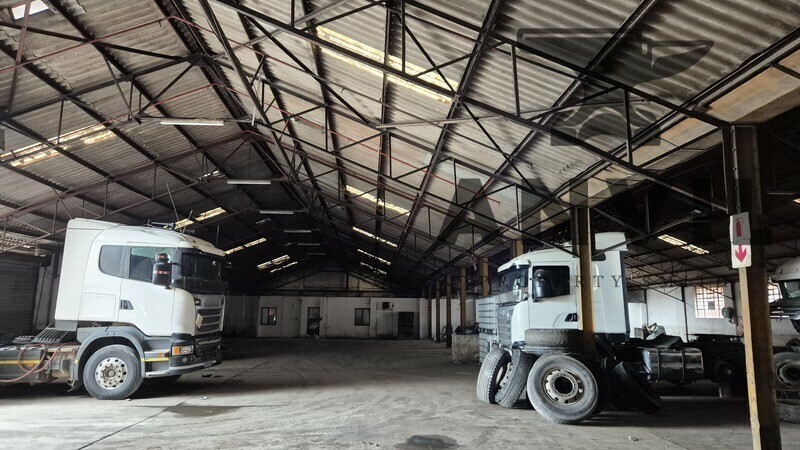 14 Pascoe Road - 14 Pascoe Road property image 3