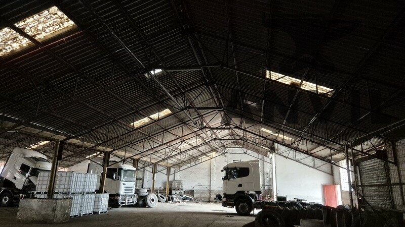 14 Pascoe Road - 14 Pascoe Road property image 4