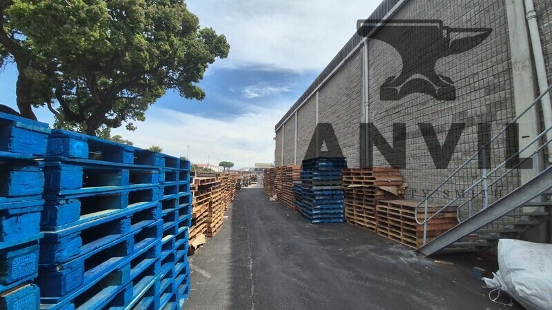 16 Flamingo Cres - Hall 1-8 property image 16