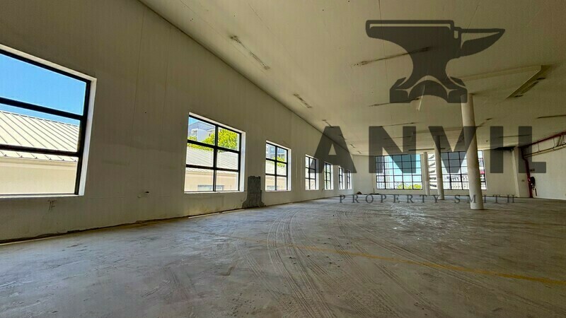 14 Dreyer Street - First Floor Workshop property image 6