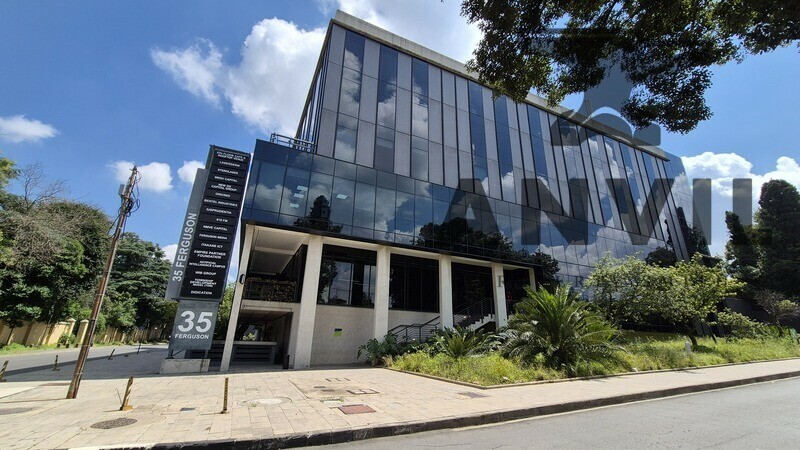 35 Ferguson Road, Illovo, Sandton - 3rd FL - Suite 1 property image 17