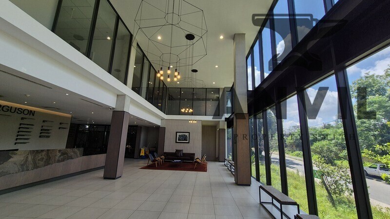 35 Ferguson Road, Illovo, Sandton - 3rd FL - Suite 1 property image 32