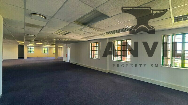 First Floor I - 295m² 