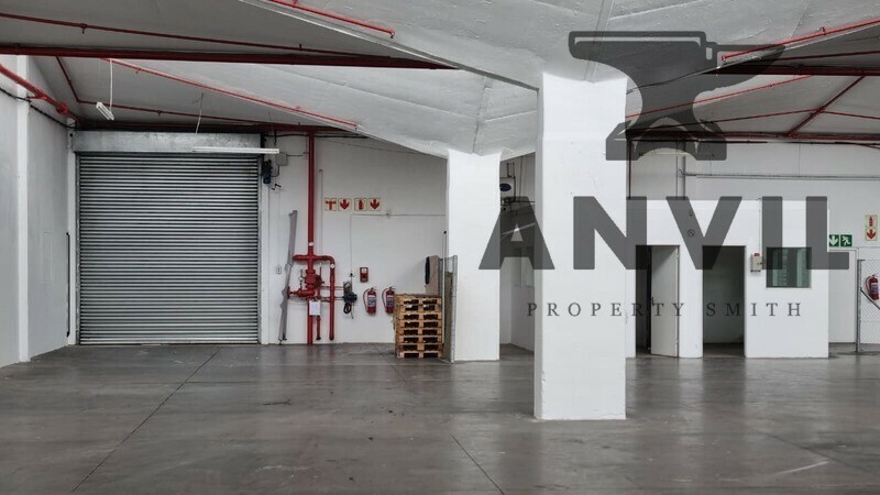 29 Packer Ave, Epping, Cape Town - Entire Unit property image 6