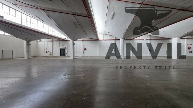 29 Packer Ave, Epping, Cape Town - Entire Unit property image 8