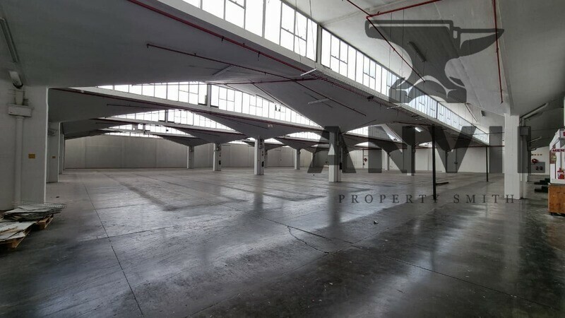 29 Packer Ave, Epping, Cape Town - Entire Unit property image 22