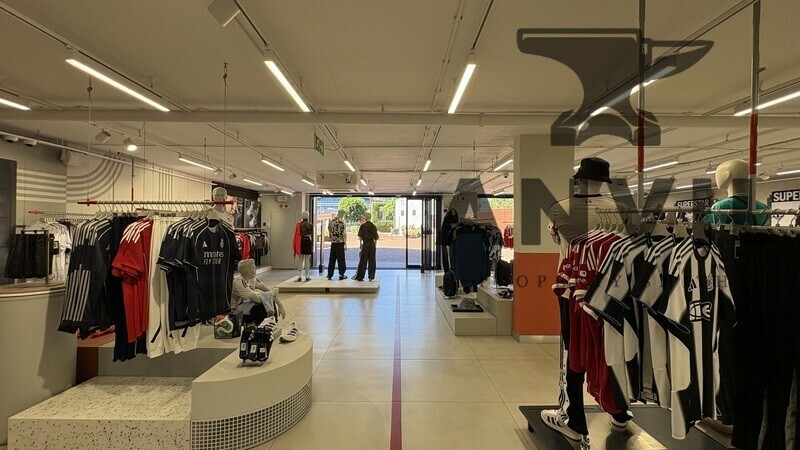 Black River Park, North Park, Observatory, Cape Town  - 376m2 Adidas Retail Unit Office  property image 11