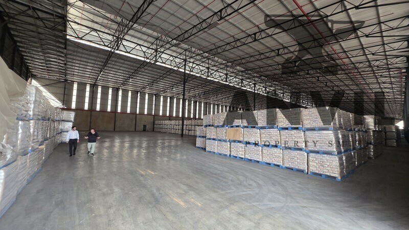 282 Elgin - Unit 1 property image 12