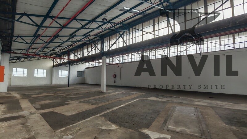 11-13 Suffert Street - Unit 2 property image 6